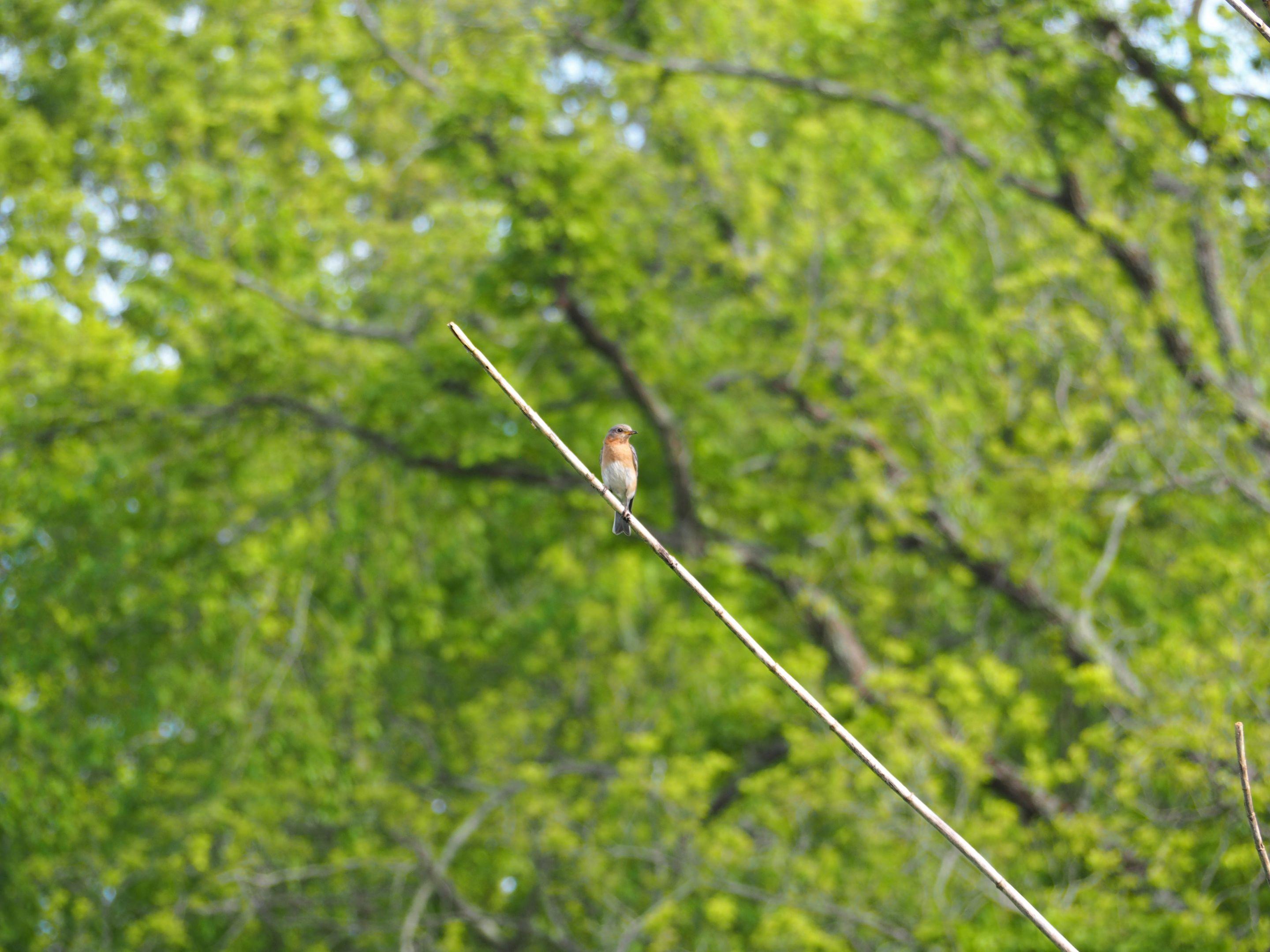 P5110660.JPG